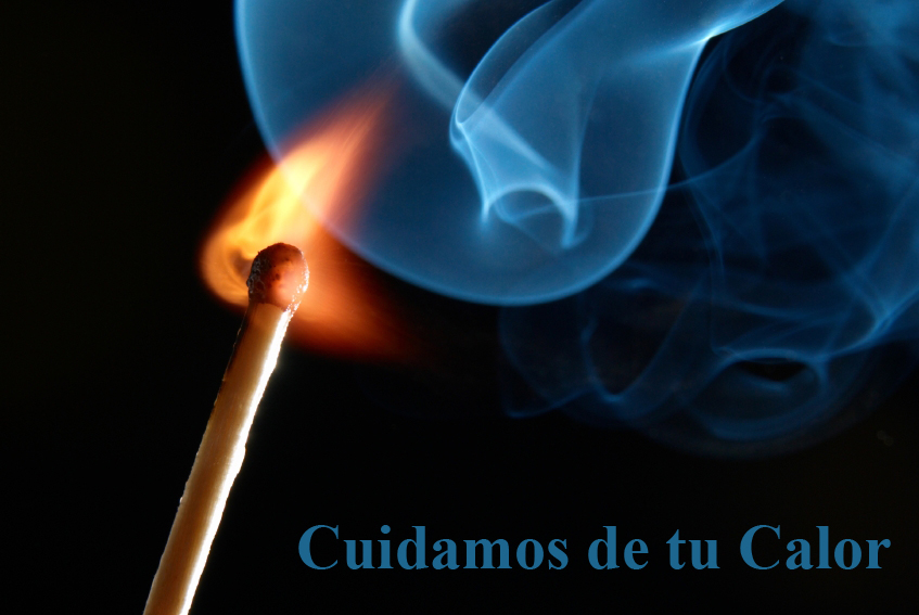 Insergas Banner 1